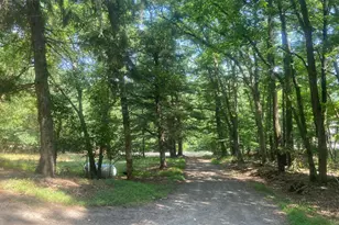 12401 Amherst Ave NE, Cumberland, MD 21502 - Photo 47