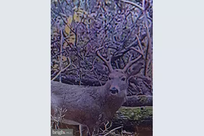 12401 Amherst Avenue NE, Cumberland, MD 21502 - Photo 23