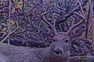 12401 Amherst Ave NE, Cumberland, MD 21502 - Photo 23