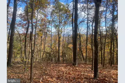 12401 Amherst Avenue NE, Cumberland, MD 21502 - Photo 41