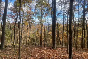 12401 Amherst Ave NE, Cumberland, MD 21502 - Photo 41