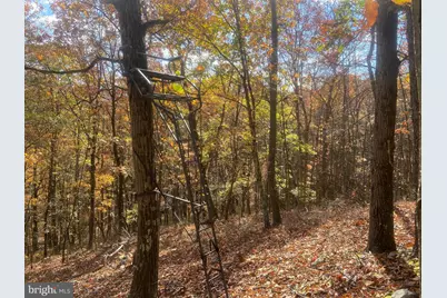 12401 Amherst Avenue NE, Cumberland, MD 21502 - Photo 105