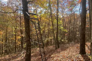 12401 Amherst Ave NE, Cumberland, MD 21502 - Photo 105