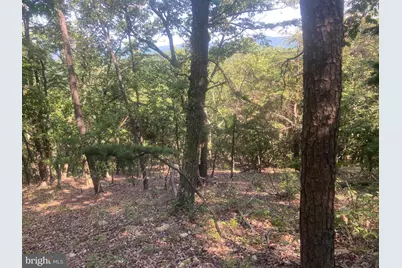 12401 Amherst Avenue NE, Cumberland, MD 21502 - Photo 93