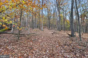 12401 Amherst Ave NE, Cumberland, MD 21502 - Photo 39