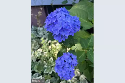 11416 Kline Drive NW, Cumberland, MD 21502 - Photo 43