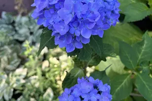 11416 Kline Dr NW, Cumberland, MD 21502 - Photo 43