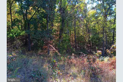 Petes Drive, Cumberland, MD 21502 - Photo 9