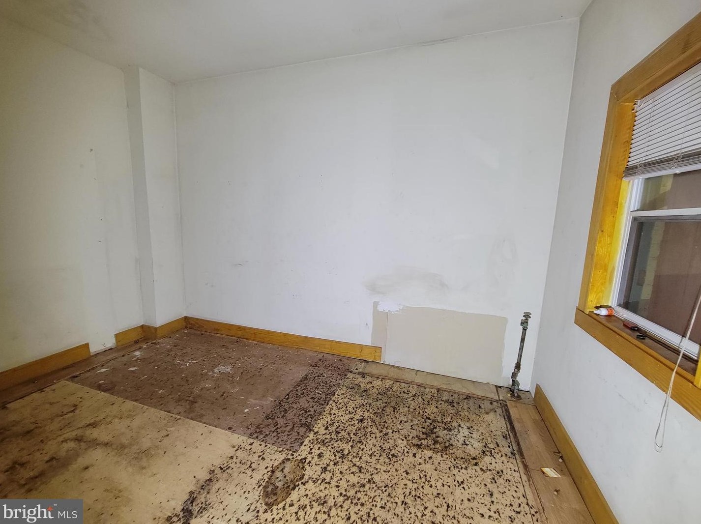 402 Gold St, Baltimore MD  21217-3524 exterior