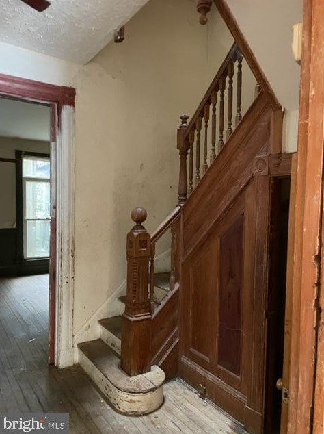 744 Reservoir St, Baltimore MD  21217-4632 exterior