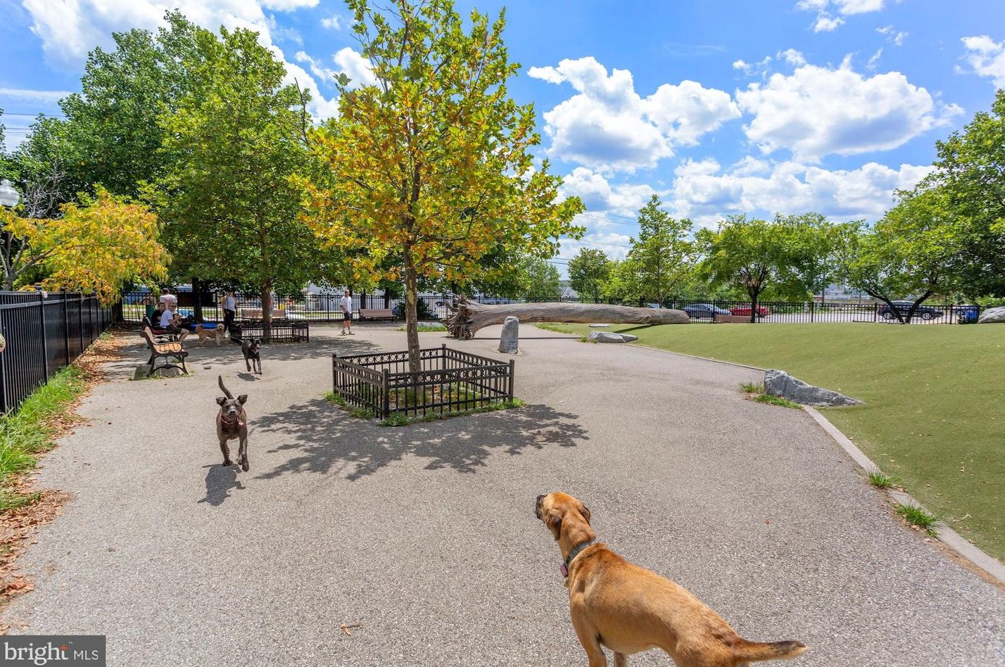 1425 Richardson St, Baltimore MD  21230-5321 exterior