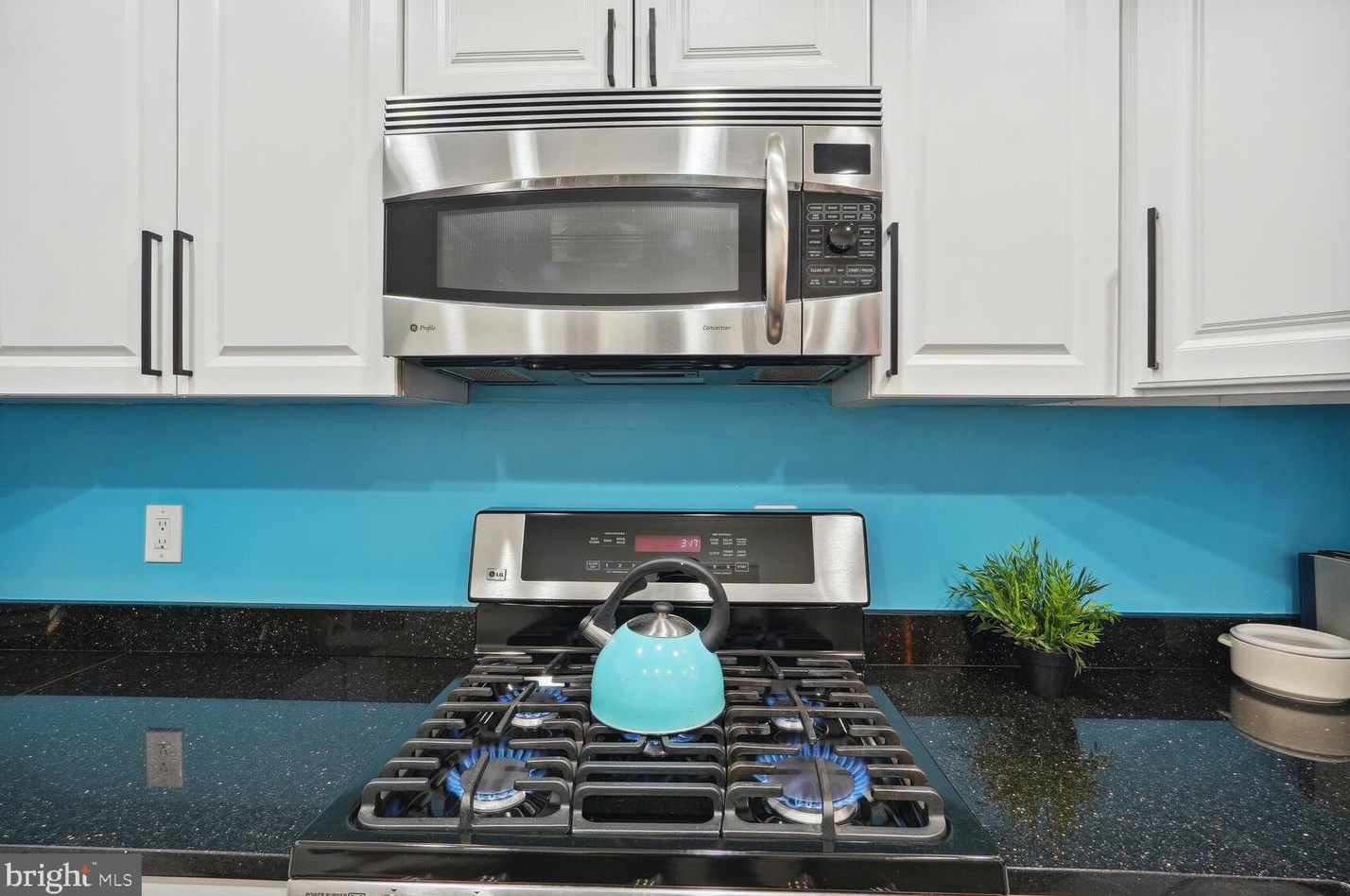 1425 Richardson St, Baltimore MD  21230-5321 exterior