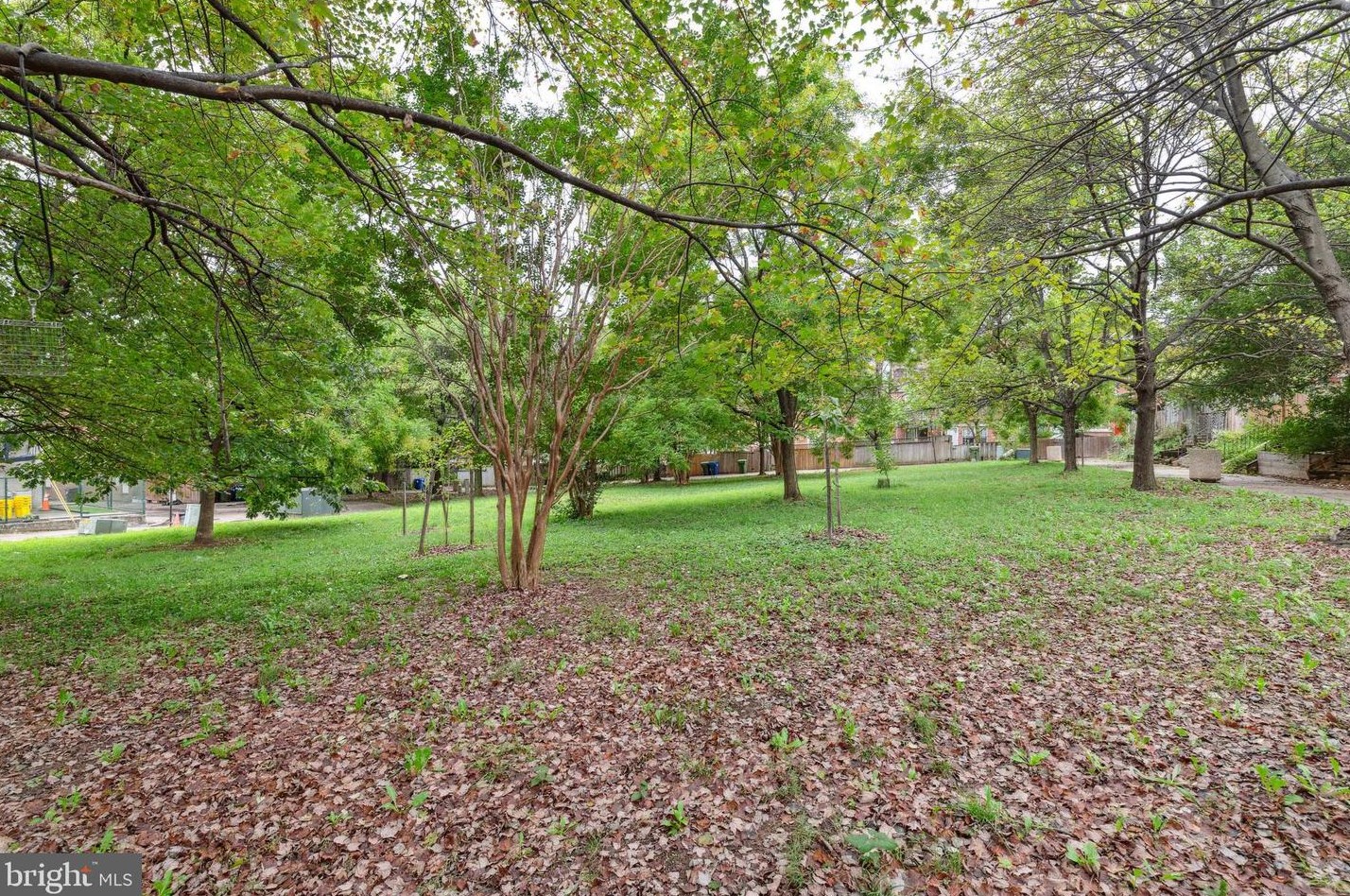 14 Wolfe St, Baltimore MD  21213-3237 exterior