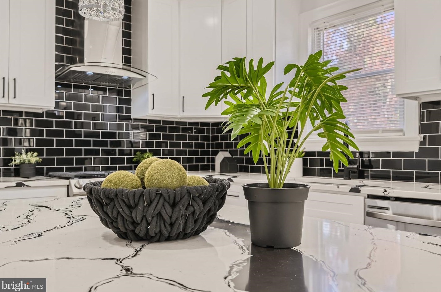 5318 The Alameda, Baltimore MD 21218-1359 exterior