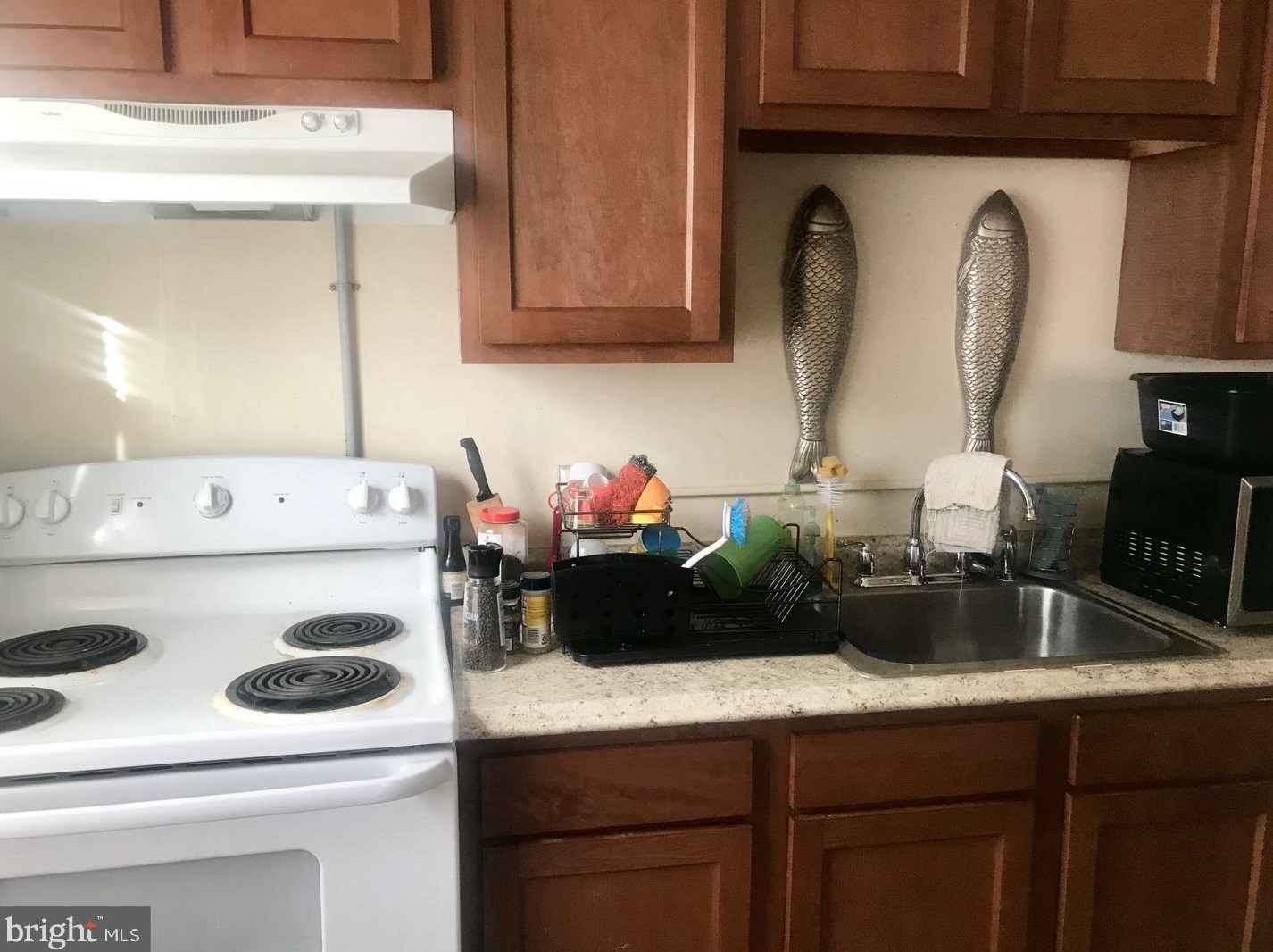 4339 Sheldon Ave, Baltimore MD  21206-6436 exterior