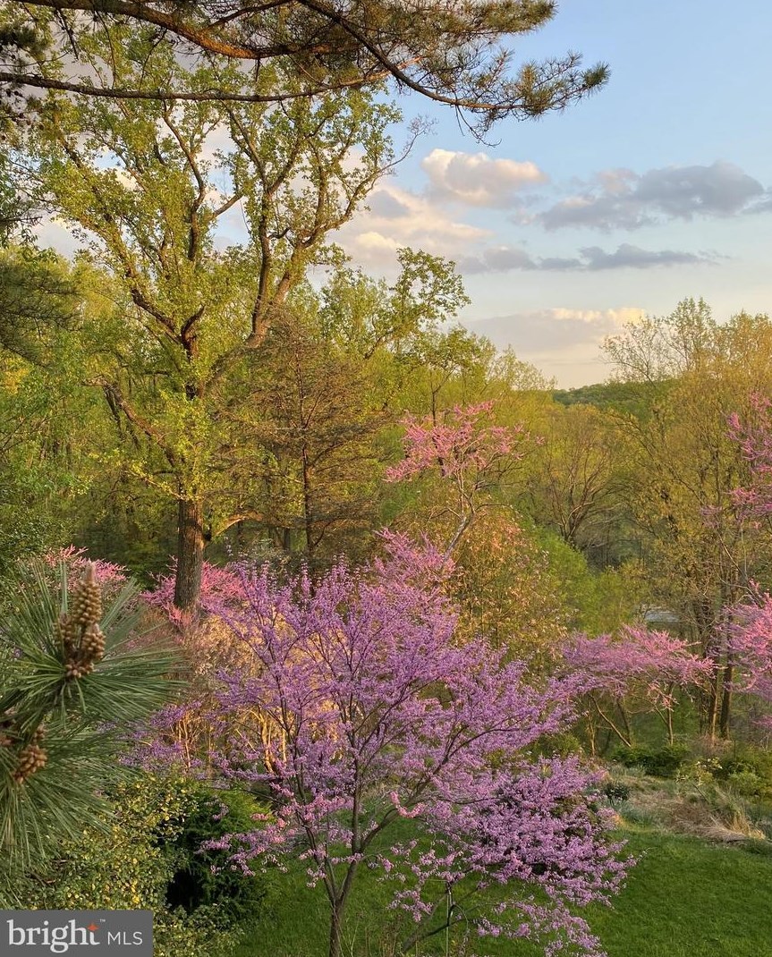 2518 Talbot Rd, Baltimore MD 21216-2032 exterior