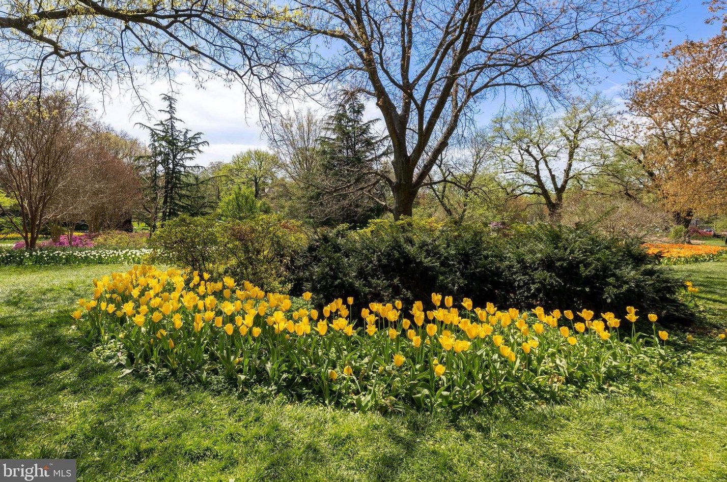 4420 Norwood Rd, Baltimore MD 21212-4101 exterior