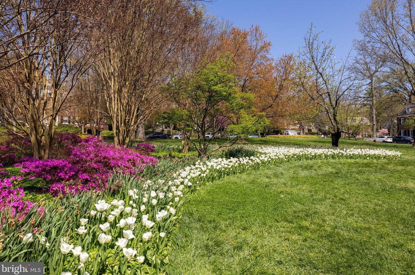 4420 Norwood Rd, Baltimore MD 21212-4101 exterior