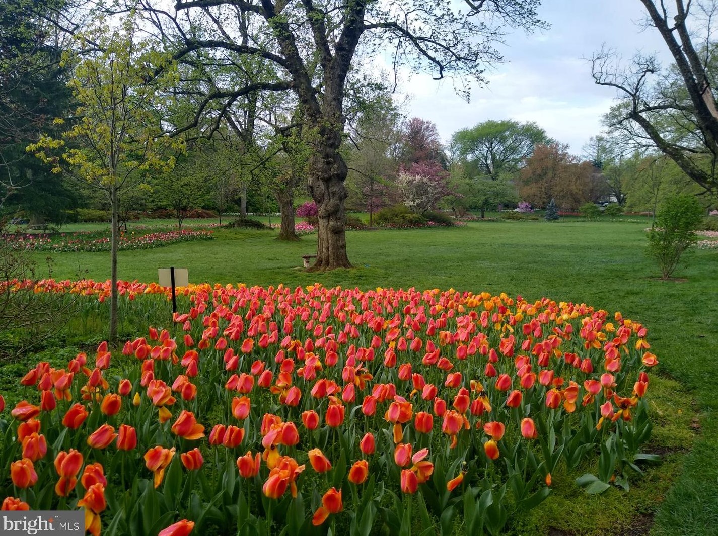 4100 Charles St, Baltimore MD  21218-1060 exterior