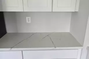 2319 Division St, Baltimore, MD 21217 - Photo 7