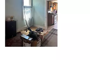 [Address not provided], Baltimore, MD 21214 - Photo 5