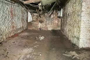 1626 N Wolfe St, Baltimore, MD 21213 - Photo 19