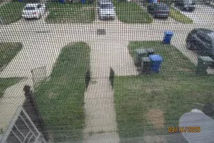 811 George St, Baltimore, MD 21201 - Photo 13