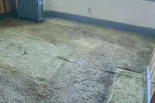 2237 Homewood Ave, Baltimore, MD 21218 - Photo 7