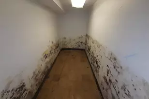 2714 Riggs Ave, Baltimore, MD 21216 - Photo 9