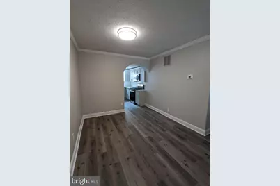 3607 Mount Pleasant Avenue, Baltimore, MD 21224 - Photo 3