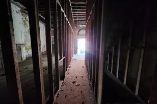 1019 W Lanvale St, Baltimore, MD 21217 - Photo 7