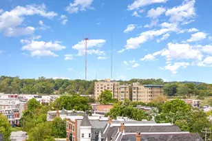 2203 Linden Ave, Baltimore, MD 21217 - Photo 39