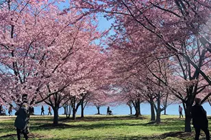 827 Light St, Baltimore, MD 21230 - Photo 35