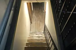 520 Sanford Pl, Baltimore, MD 21217 - Photo 9