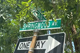 4203 Springwood Ave, Baltimore, MD 21206 - Photo 5