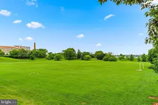 305 Elrino St, Baltimore, MD 21224 - Photo 5