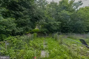 1137 N Mount St, Baltimore, MD 21217 - Photo 29