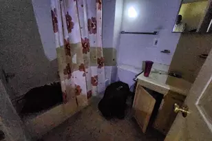 1213 Mosher St, Baltimore, MD 21217 - Photo 15