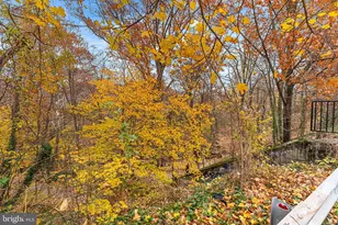 621 W 33rd St, Baltimore, MD 21211 - Photo 27