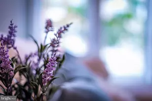 1429 E Federal St, Baltimore, MD 21213 - Photo 7