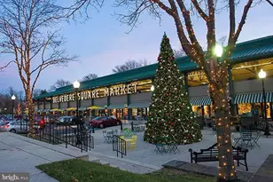 331 Rossiter Ave, Baltimore, MD 21212 - Photo 23