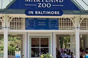 331 Rossiter Ave, Baltimore, MD 21212 - Photo 19