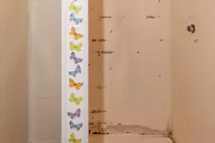 2821 Erdman Ave, Baltimore, MD 21213 - Photo 33