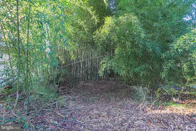 2606 Queen Anne Road, Baltimore, MD 21216 - Photo 69