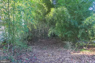 2606 Queen Anne Rd, Baltimore, MD 21216 - Photo 69