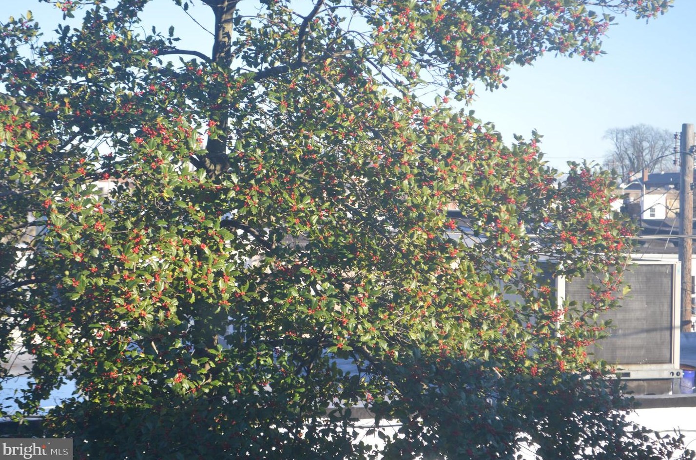 3243 Abell Ave, Baltimore MD 21218-3412 exterior