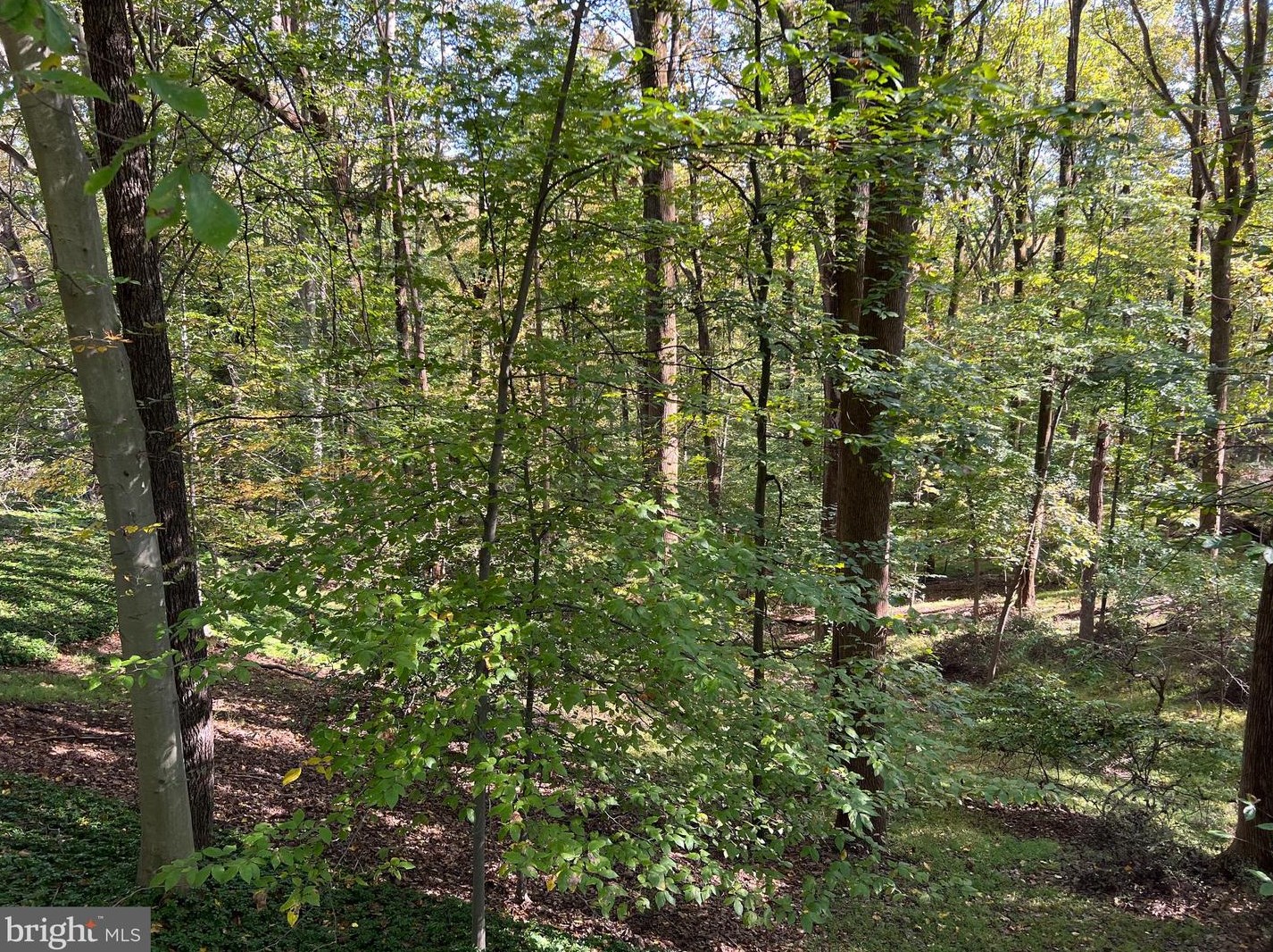 1103 High Country Rd, Baltimore MD 21286-1514 exterior