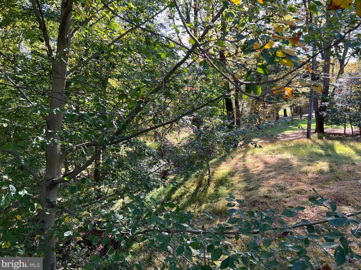 1103 High Country Rd, Baltimore MD 21286-1514 exterior