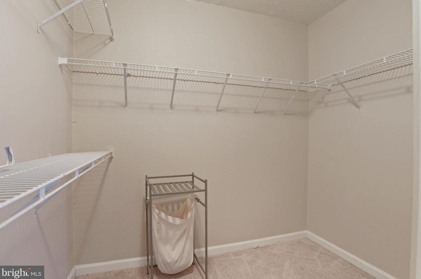17 Caterham Ct, Baltimore MD  21237-5000 exterior