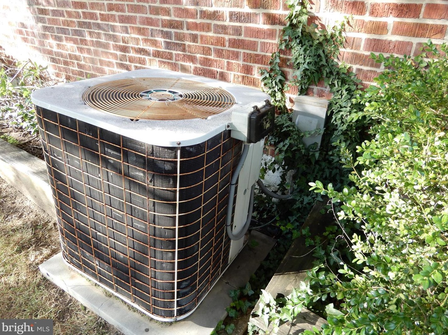 7223 Bridgewood Dr, Baltimore MD  21224-1901 exterior